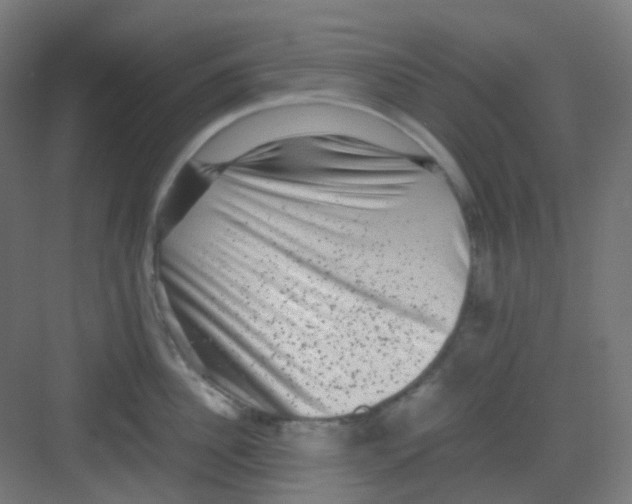 X0000081350956200702082251