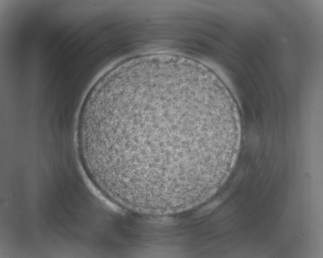 X0000081350957200702082251