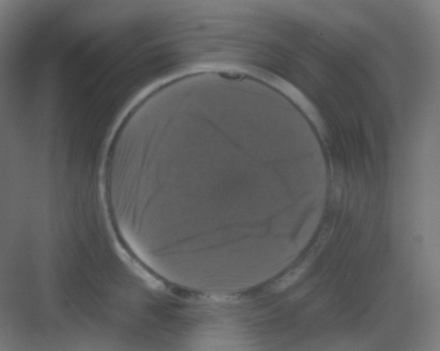 X0000081350958200702082251