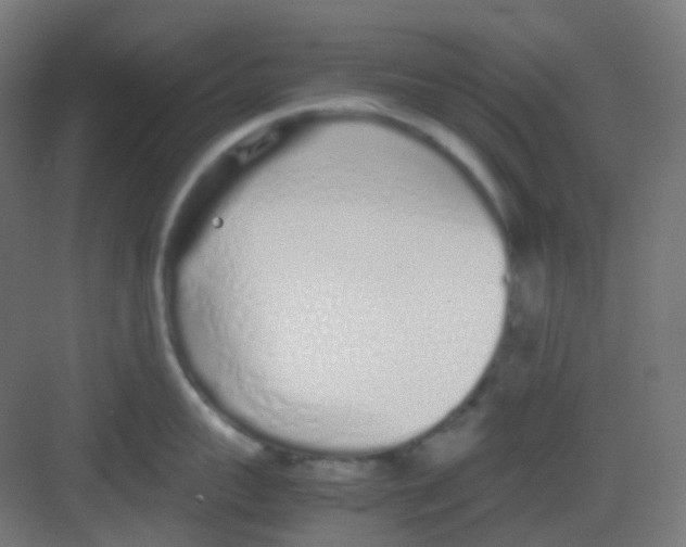 X0000081350959200702082251