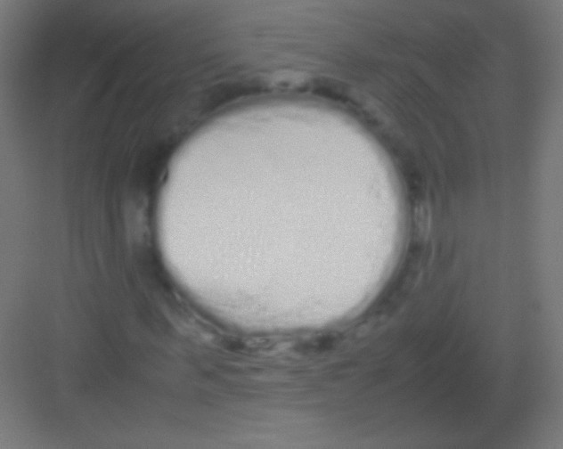 X0000081350963200702082250