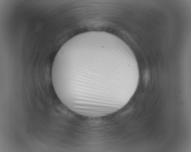 X0000081350964200702082250