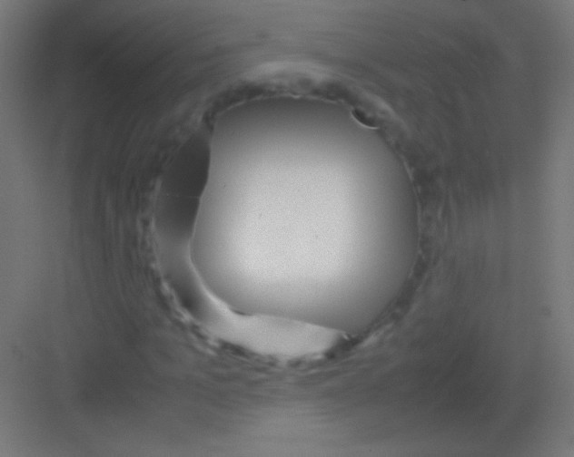 X0000081350965200702082250