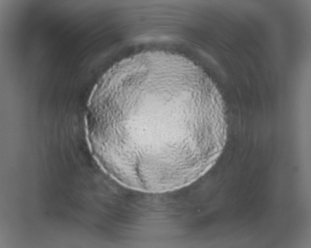 X0000081350966200702082250