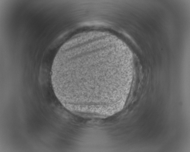 X0000081350967200702082250