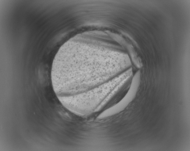 X0000081350968200702082250