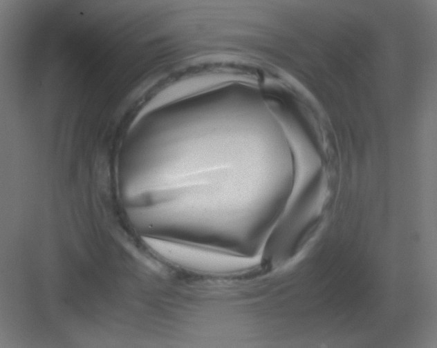 X0000081350969200702082250