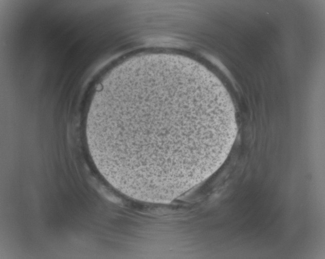 X0000081350971200702082250