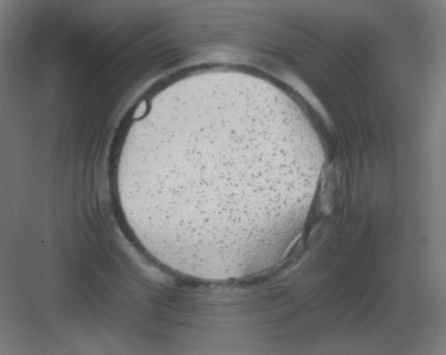 X0000081350972200702082250