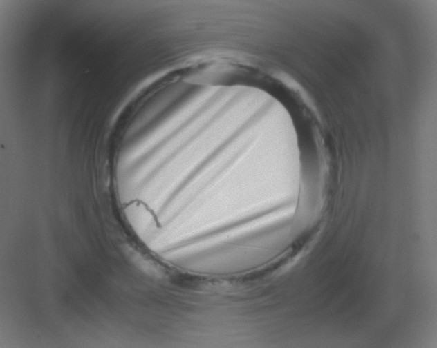 X0000081350973200702082250