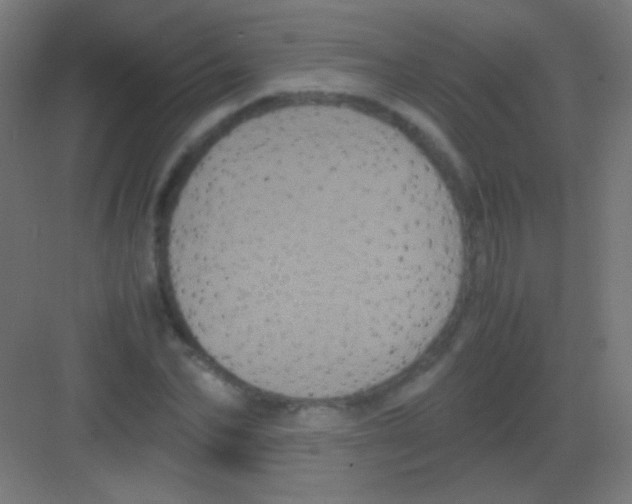 X0000081350974200702082250