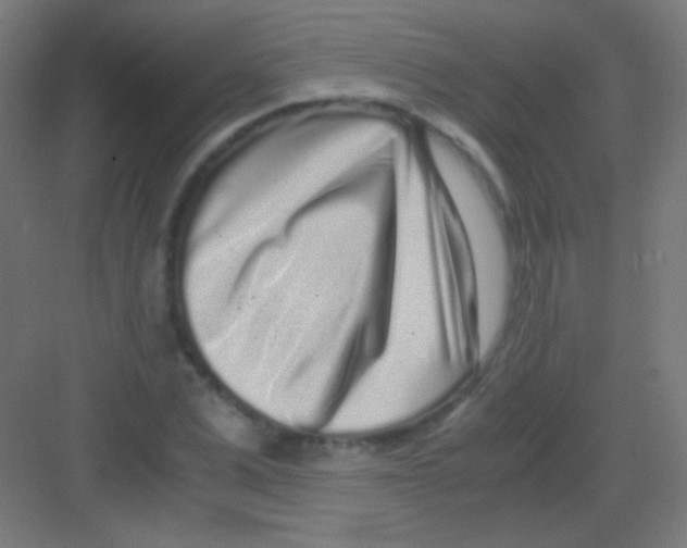 X0000081350975200702082250