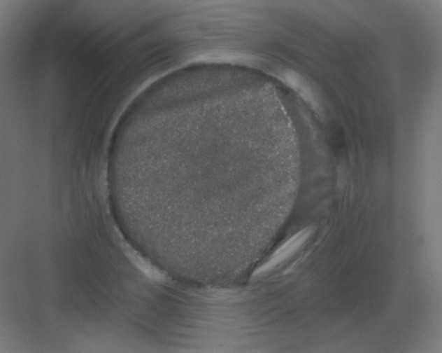 X0000081350976200702082250