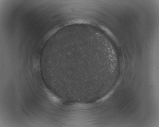 X0000081350977200702082250