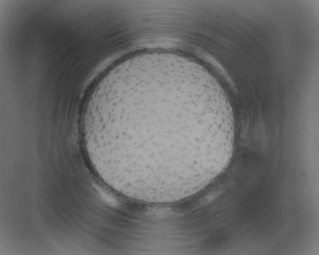 X0000081350978200702082250