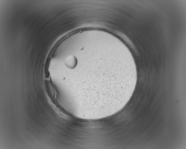 X0000081350980200702082250