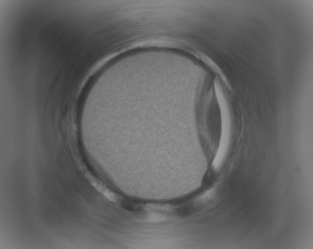 X0000081350981200702082250