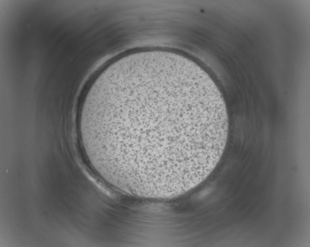 X0000081350982200702082250