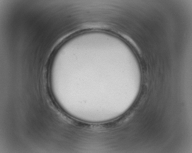 X0000081350983200702082250