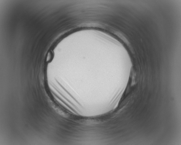 X0000081350984200702082250