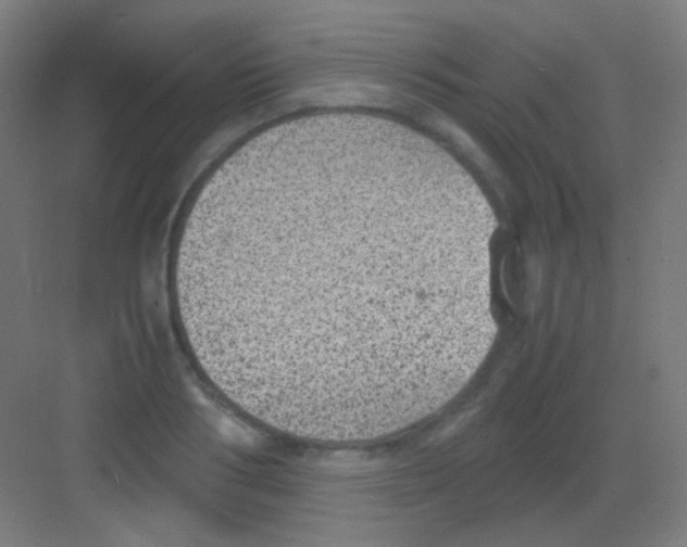 X0000081350986200702082250