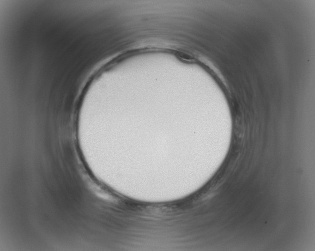 X0000081350987200702082250