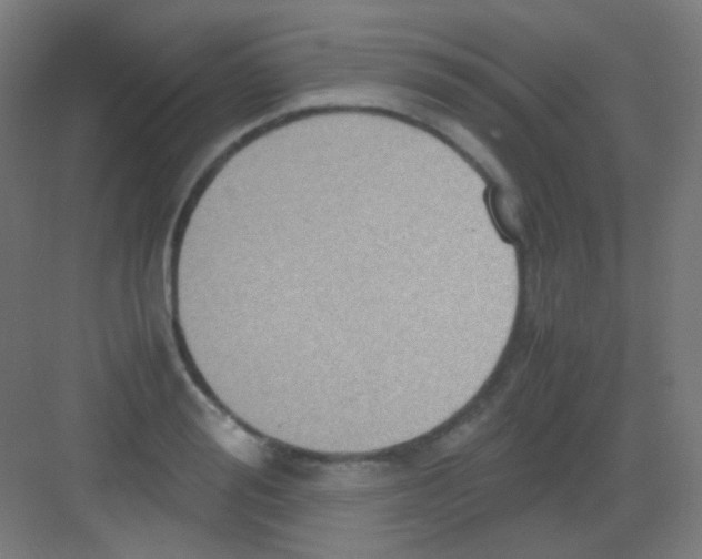 X0000081350988200702082250