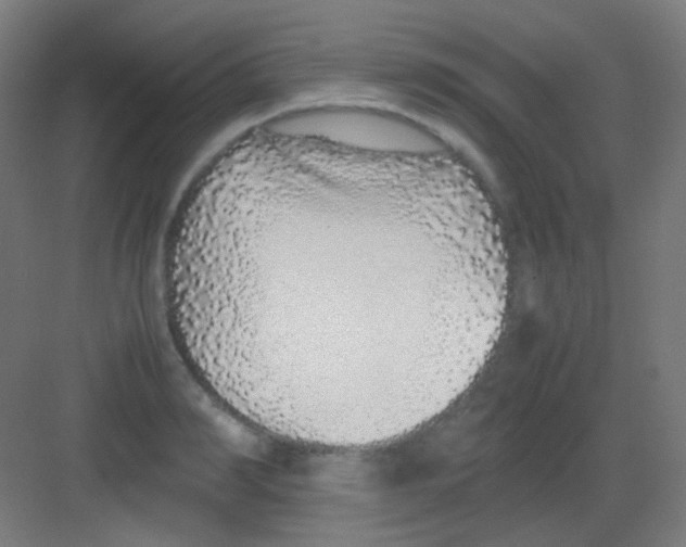 X0000081350990200702082250