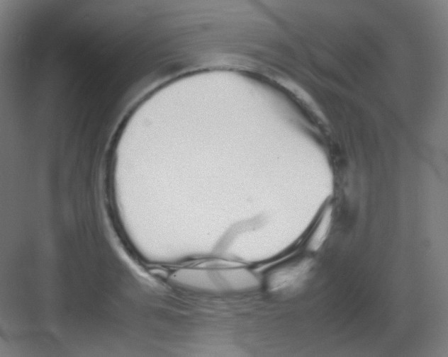 X0000081350991200702082250