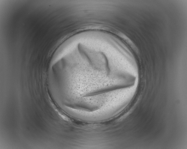 X0000081350993200702082250