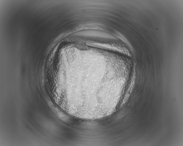 X0000081350994200702082250