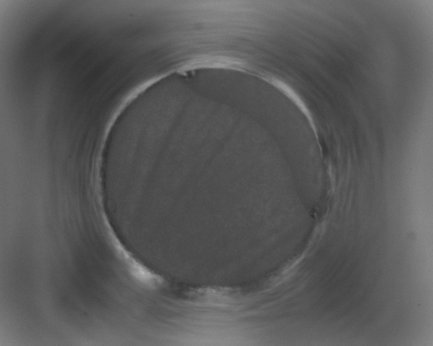 X0000081350995200702082250