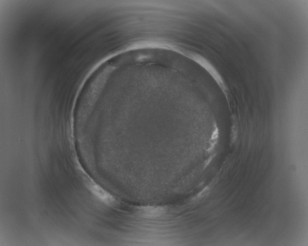 X0000081350996200702082250