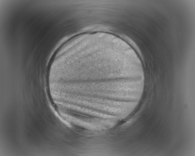 X0000081350997200702082250