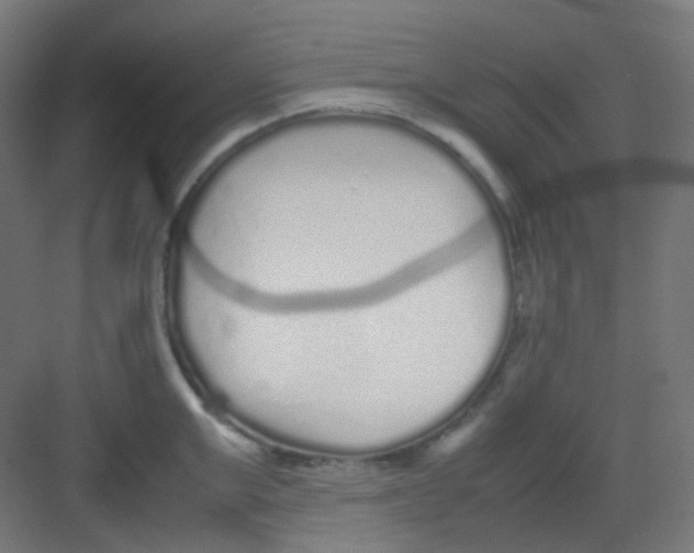 X0000081350999200702082250