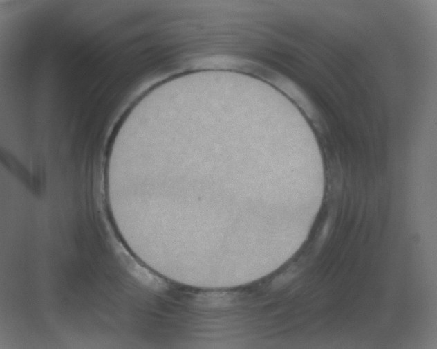 X0000081351000200702082250