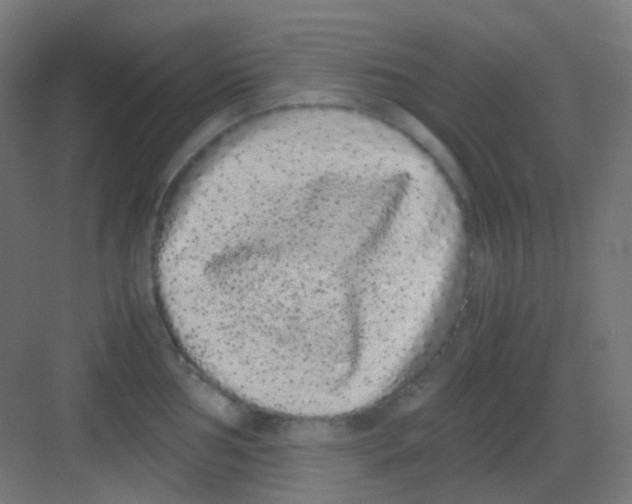 X0000081351002200702082250