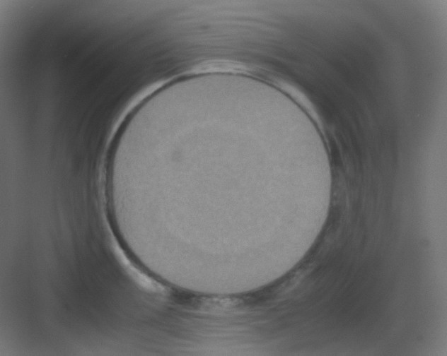 X0000081351003200702082250