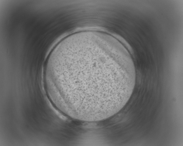 X0000081351006200702082249