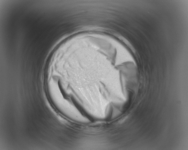 X0000081351007200702082249