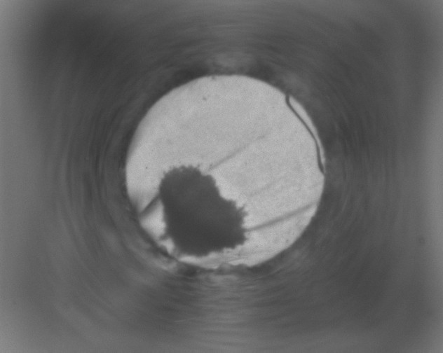 X0000081351009200702082249