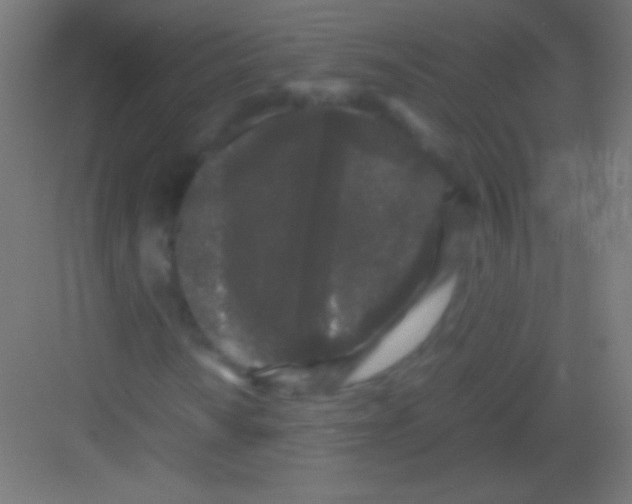 X0000081351010200702082249