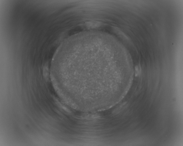 X0000081351011200702082249