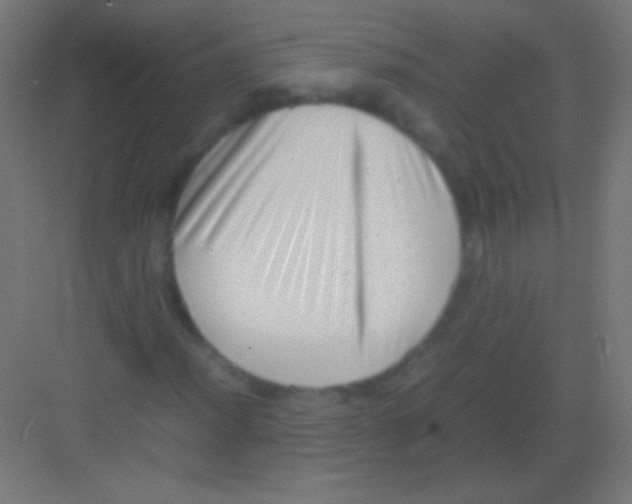 X0000081351012200702082249