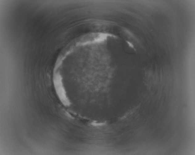 X0000081351013200702082249