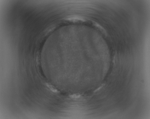 X0000081351014200702082249