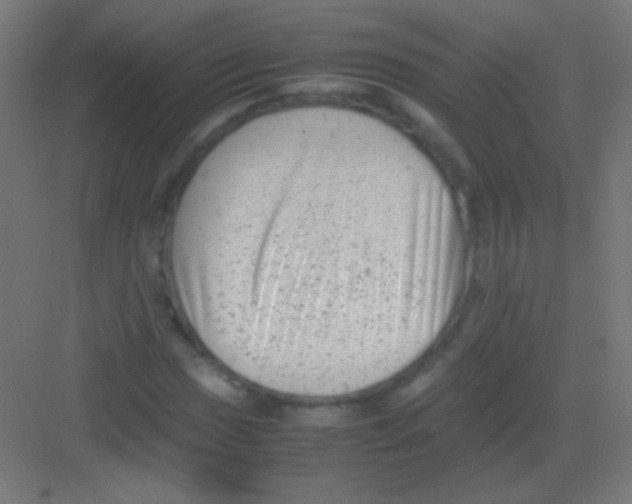 X0000081351017200702082249