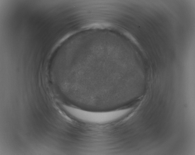 X0000081351018200702082249