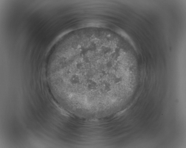 X0000081351019200702082249