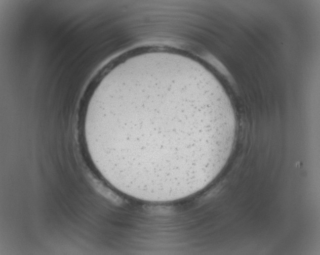 X0000081351020200702082249